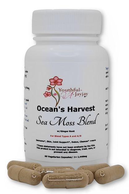 OCEAN'S HARVEST: Wildcrafted Organic Sea Moss Blend, w/ GINGER ROOT, 60 V-Caps 1,440