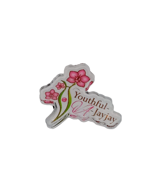 YVJJ PINS